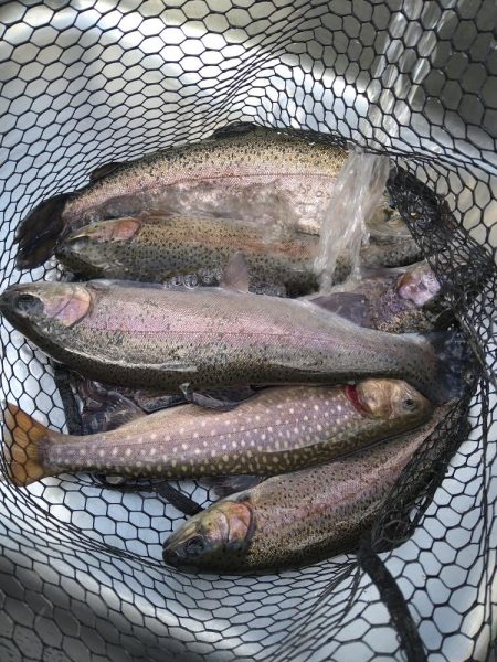 2ヶ月半ぶり釣行